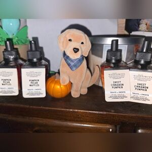 Bath & Body Works Wallflowers Pumpkin & Cinnamon Set
